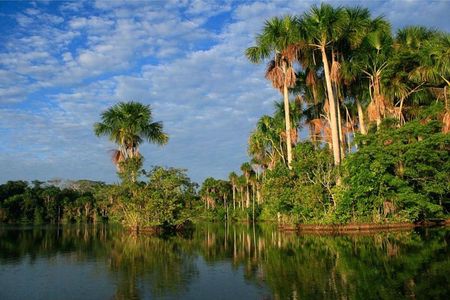 2 days 1 night - Tambopata Jungle