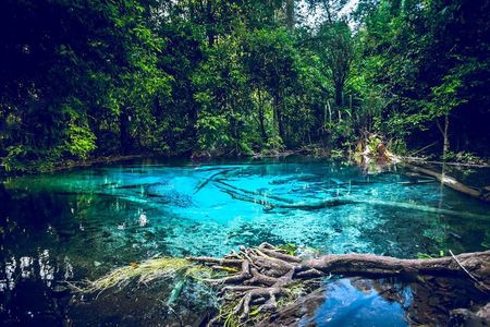 Krabi Emerald Pool, Hot Spring and Tiger Temple