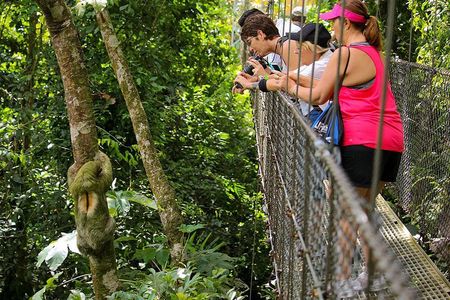 Pure Trek Canyoning & Hanging Bridges Combo in La Fortuna