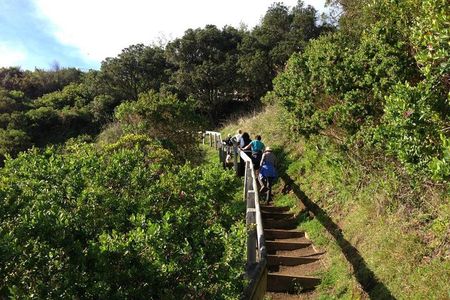 Waiheke Island Private Guided Te Ara Hura Walk