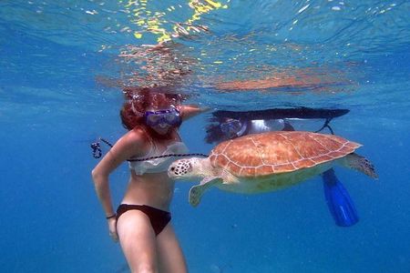 Paddle and Snorkel Tour