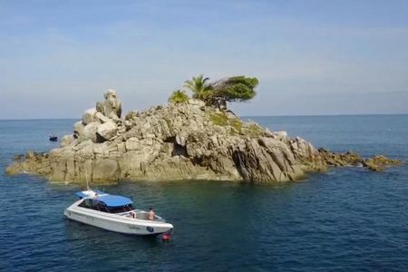 2 dives at coral reefs, Half day for certified divers