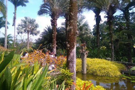 The landscaper Burle Marx and its site - cultural heritage