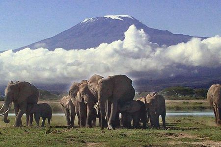 2 Days Amboseli National Park Safari- Guarantee Daily Departure