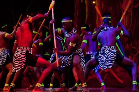 Safari Park Hotel Cat Dance and Dinner Experience