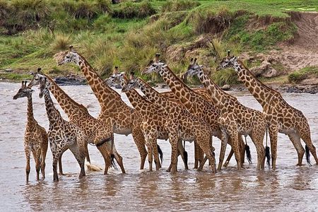 4-Days Best Wildlife Safari: Amboseli, Tsavo West & Tsavo East Private Safari