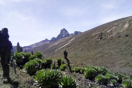 5 Days Mount Kenya Trekking Through Sirimoni-Chogoria Route