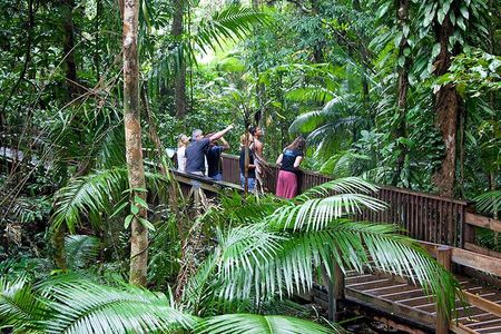 Daintree Rainforest and Mossman Gorge: Full Day Tour