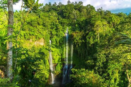 Small-Group Sekumpul Waterfall Jungle Trek with Lunch