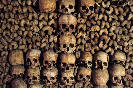  Paris Catacombs Tour