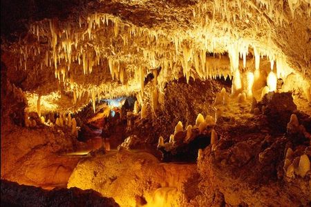 Harrison's Cave Tour from Bridgetown