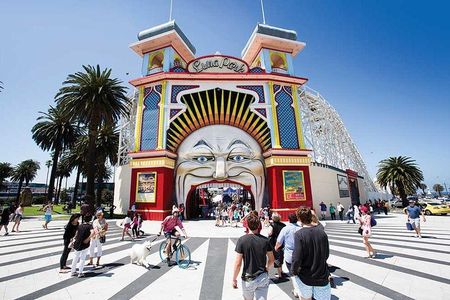 Private 8 Hour Melbourne Tour including Moonlit Sanctuary Visit.