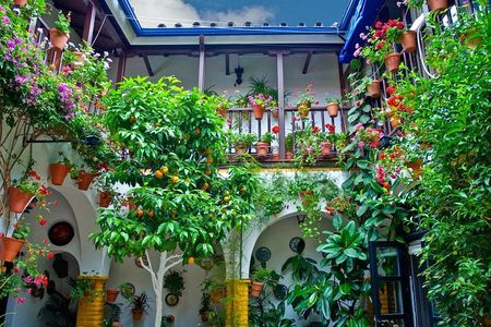 Cordoba Guided Tour Mosque and Cathedral from Seville 