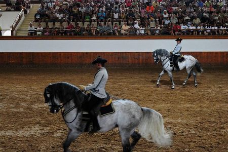 Jerez and Cadiz with Horse Ballet and Sherry Tasting from Seville