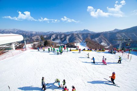 Elysian Gangchon Winter Ski with Nami Island Day Tour from Seoul