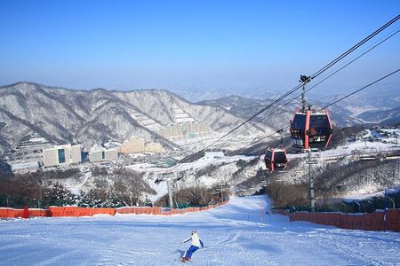 Vivaldi Park Winter Ski Resort with Nami Island Tour from Seoul
