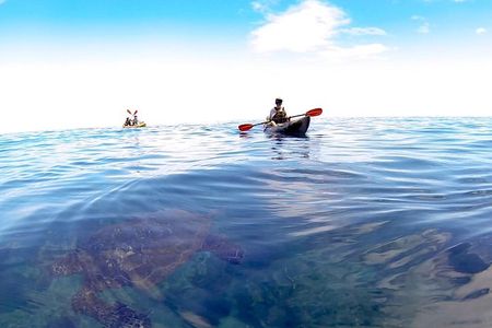  Kauai Sea Kayaking 10 mile tour - Na Pali Iki (Polihale to Milolii)