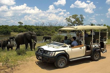 Safari Pass (Zimbabwe)