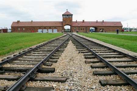 Auschwitz-Birkenau and Wieliczka Salt Mine Day Tour from Krakow with private car