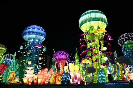 Glow Garden Ticket & Two Way Private Transfers