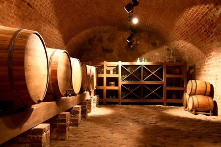 2-Day The Wine and Pisco Route in Paracas from Lima