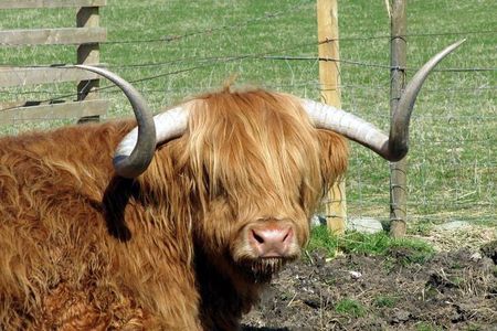 3-Day Isle of Skye and Highlands Tour from Glasgow