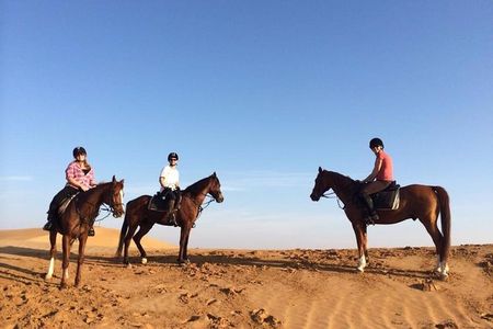 Desert Horse Riding In Dubai