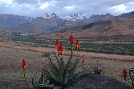 Drakensberg Mountain day Tour into Lesotho from Durban