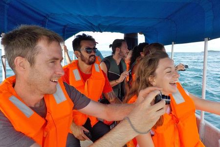 (4 person minimum to book) Whale Watching (July 15 to Oct.15) in Isla Bolanos