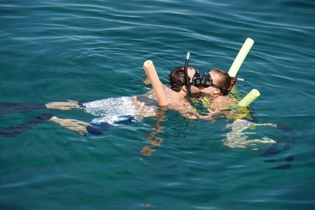 Glass Bottom Boat and Snorkeling Combo in Bermuda