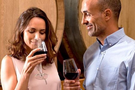 The Original Syrah Wine Tour (2:00 pm - 6:30 pm) - Small Group Tour from Lyon