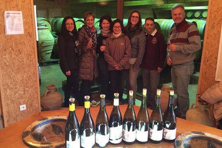 The Original Syrah Wine Tour (9:00 am - 1:30 pm) - Small Group Tours from Lyon