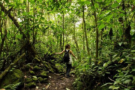 Chicaque National Park