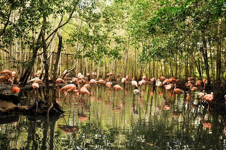 National Aviary private from Cartagena