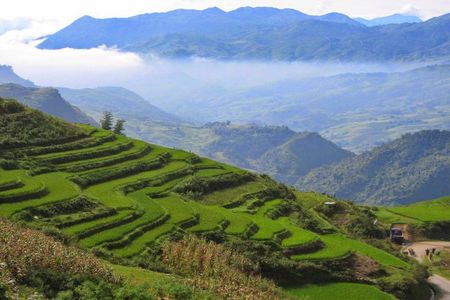 1 day Private tour Sapa trekking Y Linh Ho - Lao Chai - Ta Van (start from Sapa)