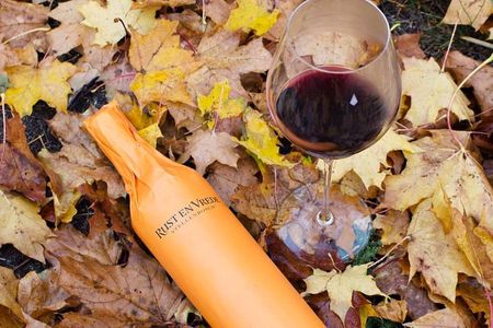 Stellenbosch Winelands Connoisseur Day Tour with Private Transfer