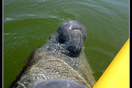 Small Group Boat, Kayak and Walking Guided Eco Tour Everglades