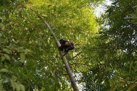 Private Tour: Fishermen and Pacoche Humid Forest Walking Tour
