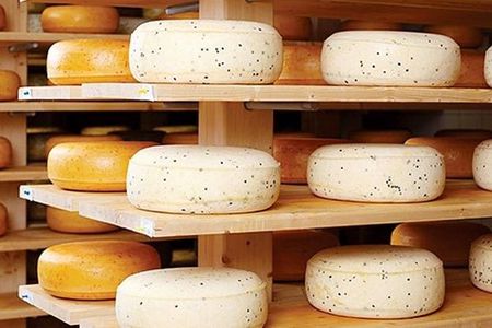 Ensenada Shore Excursion: Wine and Cheese Tour with Lunch in Ojos Negros Valley