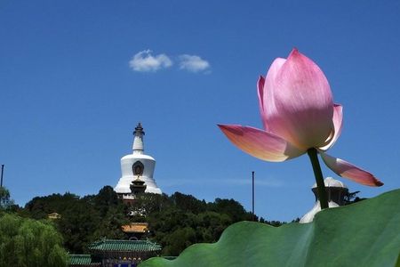 2-Hour Beijing Private Jingshan Coal Hill Park and Beihai Park Walking Tour