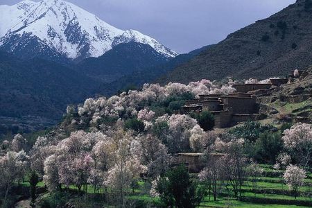 Private Day Trip to the High Atlas Mountains from Marrakech