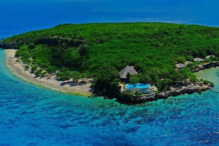 Oslob Whale Shark and Sumilon Day Tour