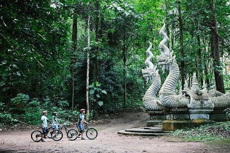 Stairway to Heaven Trail Mountain Biking Tour Chiang Mai