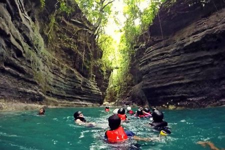 Cebu Whale Shark Interaction, Moalboal Sea Turtles, Sardines Run & Canyoneering
