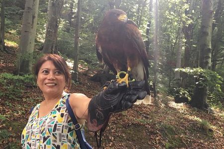 Medvednica Nature Park Falconry Tour from Zagreb