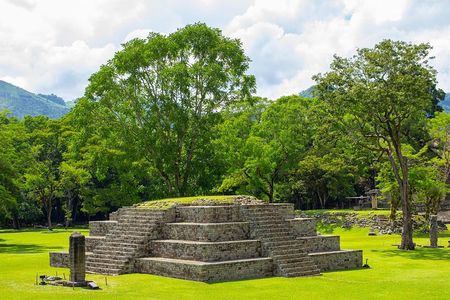 From San Pedro Sula: Mayan Ruins of Copan Day Trip