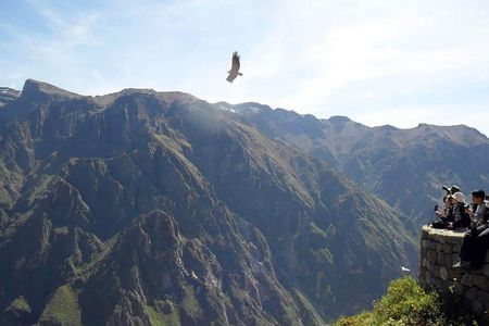 Tour Colca Canyon 2d -1n From Arequipa, Ending In Puno