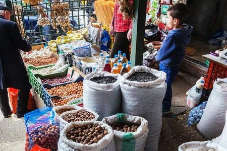 Albanian Adventure Day Trip from Corfu