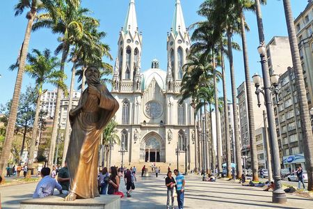 São Paulo 6-Hour Private City Tour