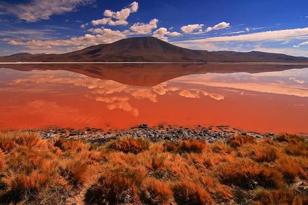3 Days Uyuni salt flat and colored lagoons from Uyuni